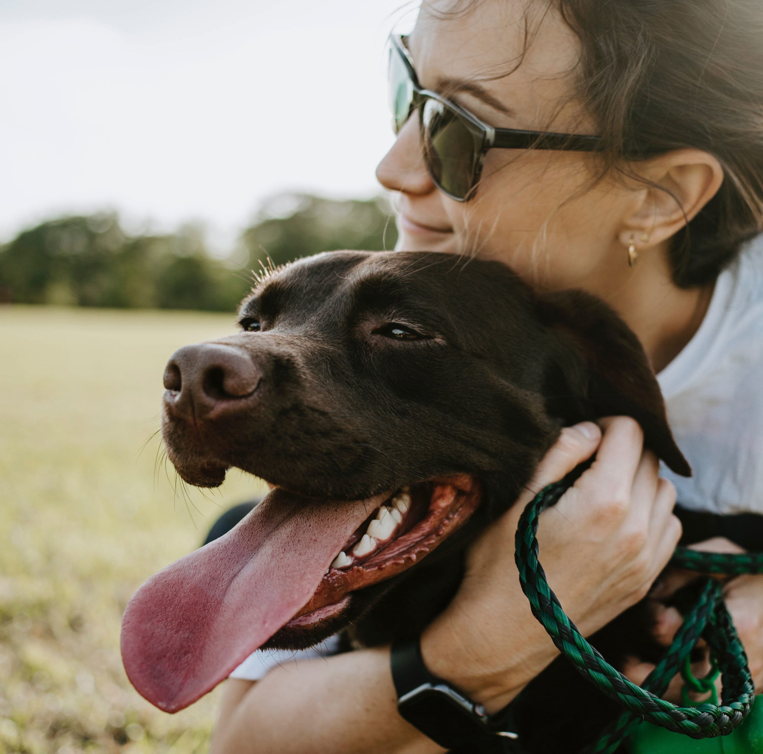 A woman wearing sunglasses holding her large brown dog outside