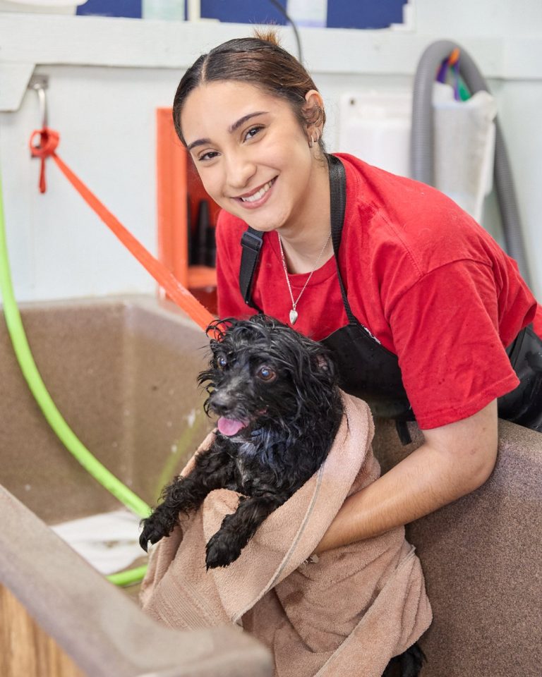 Smiling groomer in a red shirt holding a small wet black dog wrapped in a towel beside a wash tub